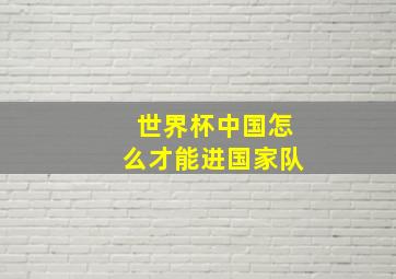 世界杯中国怎么才能进国家队