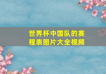 世界杯中国队的赛程表图片大全视频