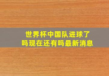 世界杯中国队进球了吗现在还有吗最新消息