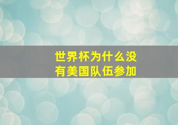 世界杯为什么没有美国队伍参加