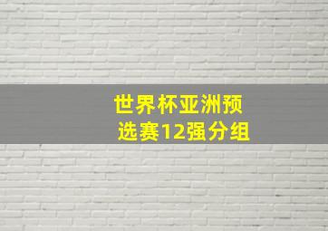 世界杯亚洲预选赛12强分组