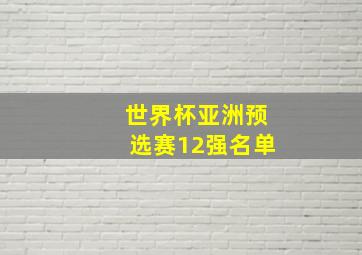 世界杯亚洲预选赛12强名单