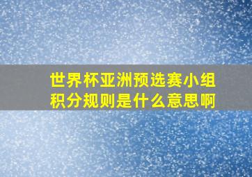 世界杯亚洲预选赛小组积分规则是什么意思啊