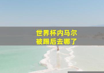 世界杯内马尔被踢后去哪了