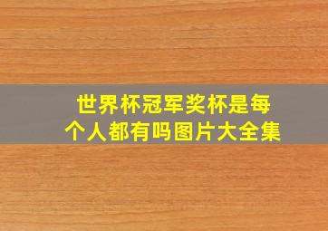 世界杯冠军奖杯是每个人都有吗图片大全集