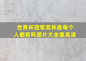 世界杯冠军奖杯是每个人都有吗图片大全集高清