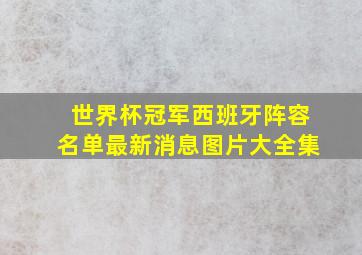 世界杯冠军西班牙阵容名单最新消息图片大全集