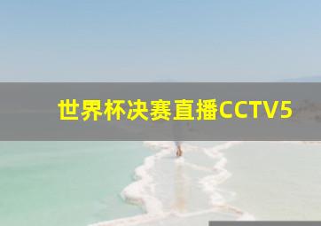 世界杯决赛直播CCTV5