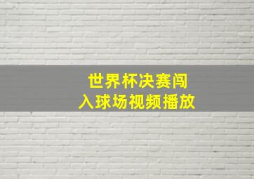 世界杯决赛闯入球场视频播放