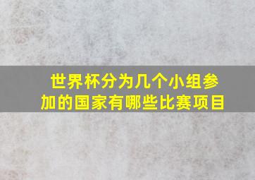 世界杯分为几个小组参加的国家有哪些比赛项目