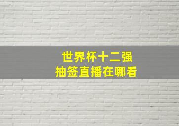 世界杯十二强抽签直播在哪看