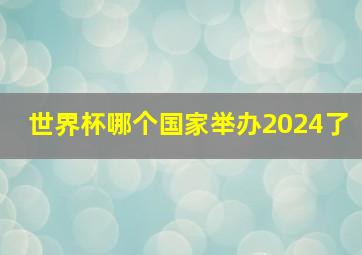 世界杯哪个国家举办2024了