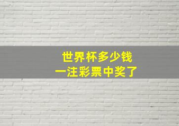 世界杯多少钱一注彩票中奖了