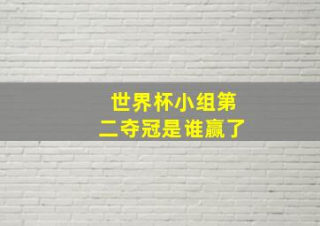 世界杯小组第二夺冠是谁赢了