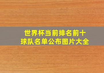 世界杯当前排名前十球队名单公布图片大全