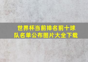 世界杯当前排名前十球队名单公布图片大全下载