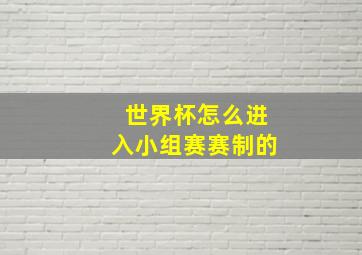 世界杯怎么进入小组赛赛制的