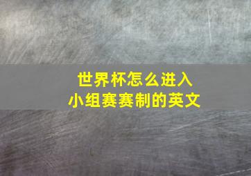 世界杯怎么进入小组赛赛制的英文