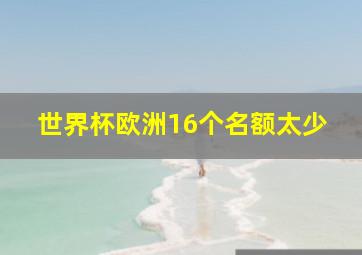 世界杯欧洲16个名额太少