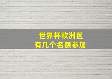 世界杯欧洲区有几个名额参加