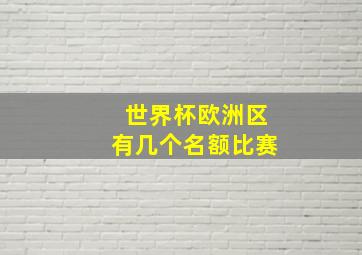 世界杯欧洲区有几个名额比赛