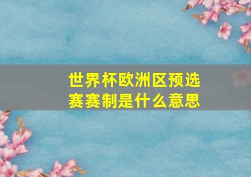 世界杯欧洲区预选赛赛制是什么意思