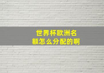 世界杯欧洲名额怎么分配的啊