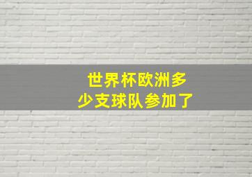 世界杯欧洲多少支球队参加了