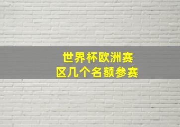 世界杯欧洲赛区几个名额参赛