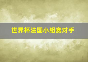 世界杯法国小组赛对手