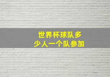 世界杯球队多少人一个队参加