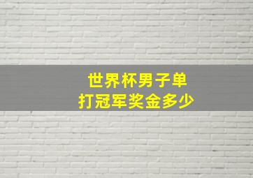 世界杯男子单打冠军奖金多少