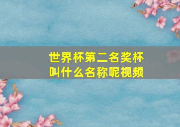 世界杯第二名奖杯叫什么名称呢视频