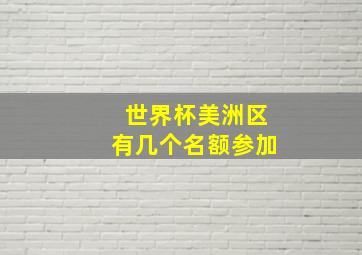 世界杯美洲区有几个名额参加