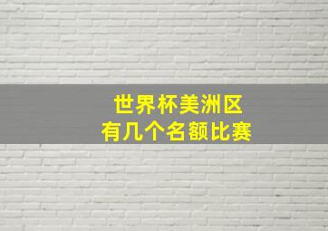 世界杯美洲区有几个名额比赛