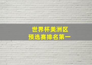 世界杯美洲区预选赛排名第一