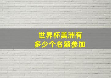 世界杯美洲有多少个名额参加