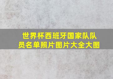 世界杯西班牙国家队队员名单照片图片大全大图