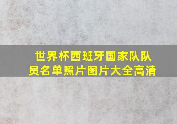 世界杯西班牙国家队队员名单照片图片大全高清