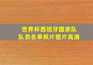 世界杯西班牙国家队队员名单照片图片高清