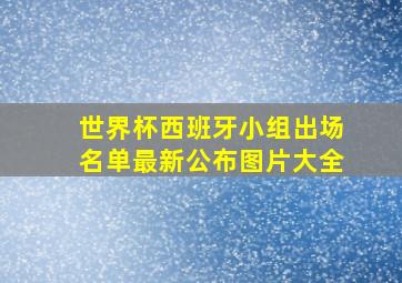 世界杯西班牙小组出场名单最新公布图片大全