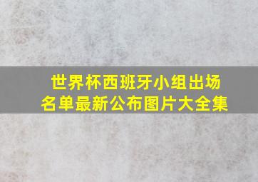 世界杯西班牙小组出场名单最新公布图片大全集