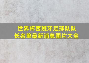 世界杯西班牙足球队队长名单最新消息图片大全