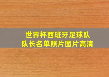 世界杯西班牙足球队队长名单照片图片高清