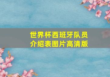 世界杯西班牙队员介绍表图片高清版