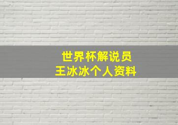 世界杯解说员王冰冰个人资料