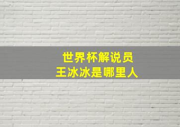 世界杯解说员王冰冰是哪里人