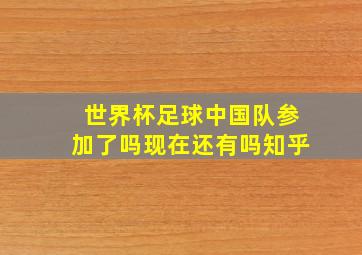 世界杯足球中国队参加了吗现在还有吗知乎