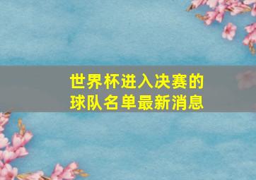 世界杯进入决赛的球队名单最新消息