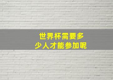 世界杯需要多少人才能参加呢